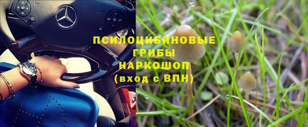 ГАЛЛЮЦИНОГЕННЫЕ ГРИБЫ Саяногорск